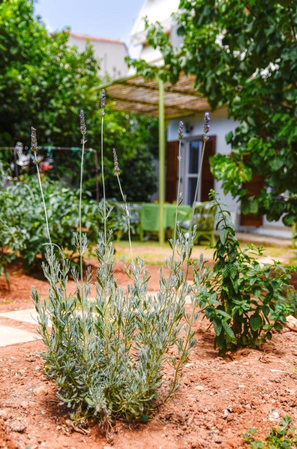 Gaia Residence Hersonissos  Esterno foto